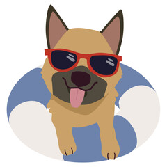 Happy German shepherd dog with sunglasses and floating ring, air mattress for summer