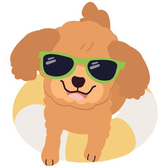 Happy Poodle dog with sunglasses and floating ring, air mattress for summer