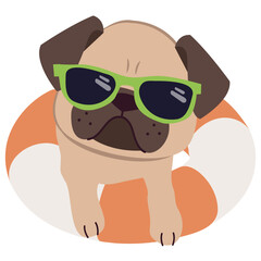Happy Pug dog with sunglasses and floating ring, air mattress for summer