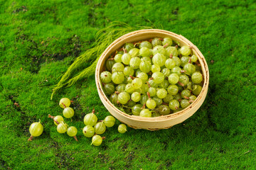 Fresh small sour berries on a natural green background