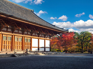Japanese architecture. City of Kyoto. Ancient Japanese temple. Asian style building. Architectural landmark of Japan. Autumn trees near building. Kyoto in sunny weather. Temple building in Kyoto