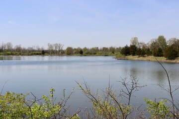 The lake in the countryside on a sunny day.