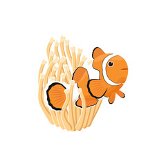 Clown anemone fish cartoon vector Illustration on a white background.  - obrazy, fototapety, plakaty