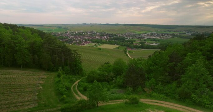 Vineyard landscape, vineyard of France, Champagne. Aerial drone shot of sunny vineyard at sunrise. Sunset landscape vineyard France, Europe nature