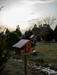 bird house in the woods