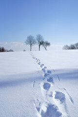 Winter Weg fußspur