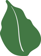 leaf 19