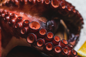 boiled whole octopus on a gray stone with lemon and pink pepper