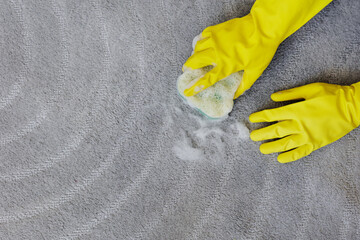 top view of hands in yellow rubber gloves cleaning carpet with sponge and foam