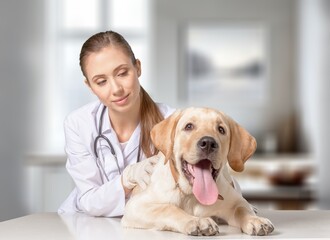 Young happy veterinarian with dog in the clinic