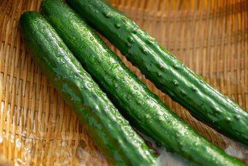 新鮮なキュウリ