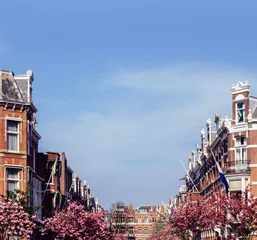 Foto op Aluminium Springtime in the Hague, Netherlands with traditional Dutch houses on a upmarket street © Alexandre Rotenberg