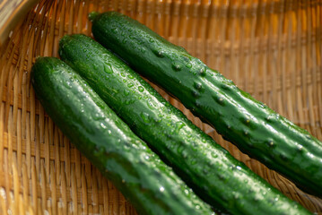 新鮮なキュウリ