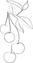 One single line drawing of whole healthy organic cherries for orchard logo identity. Fresh fruitage concept for fruit garden icon. Modern continuous line draw design graphic illustration