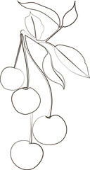 One single line drawing of whole healthy organic cherries for orchard logo identity. Fresh fruitage concept for fruit garden icon. Modern continuous line draw design graphic illustration