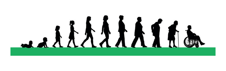 Life cycles of woman from a little baby to senior woman silhouette vector illustration.	