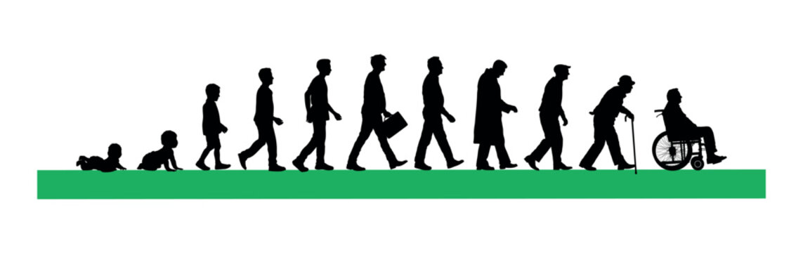 Life cycles of man from a little baby to senior man vector silhouettes.