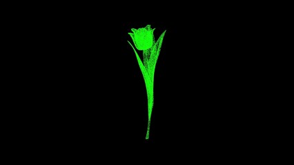 3D tulip flower on black bg. Object dissolved green flickering particles. Business advertising backdrop. Science concept. For title, text, presentation. 3D animation