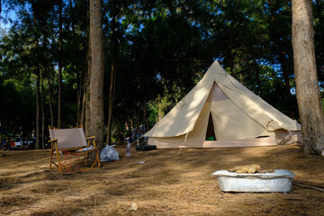 Camping tent on beach in pine forest nature landscape