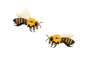 Bees are classified as insects.
