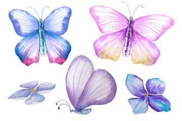 Obraz na płótnie Canvas Butterfly watercolor illustration. Cute butterfly for postcards, covers, invitations