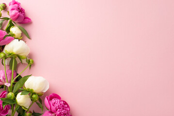Fototapeta premium Tender bouquet concept. Top view photo of empty space with bright pink and white peony flowers and buds on isolated pastel pink background with copy-space