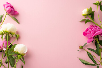 Fototapeta premium Tender bouquet concept. Top view photo of empty space with bright pink and white peony flowers,petals and buds on isolated pastel pink background with copy-space
