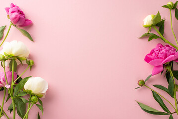 Tender bouquet concept. Top view photo of empty space with bright pink and white peony flowers,petals and buds on isolated pastel pink background with copy-space