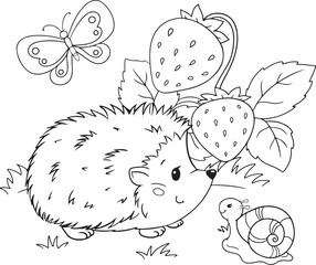 cute illustration of hedgehog and snail with strawberries for children coloring book © Maria