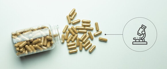 Drug research, the concept of safety of supplements in capsules, quality control of pharmaceutical companies