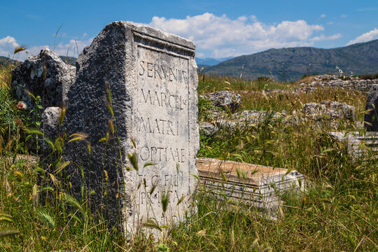 In the ruins of ancient Dioclea