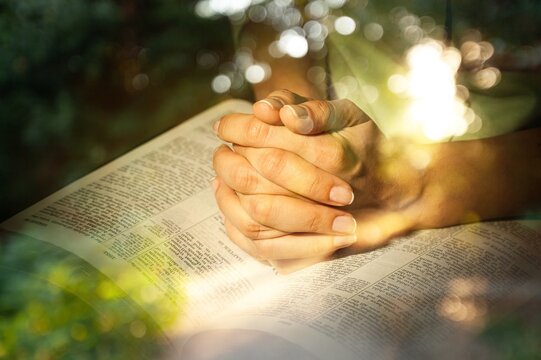 Human hands Praying over Holy Bible book