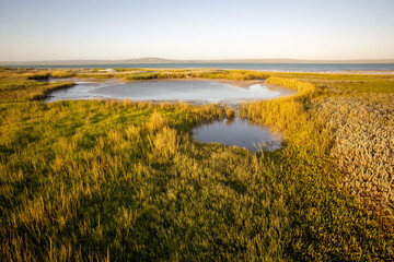 Fototapeta premium Salt marshes