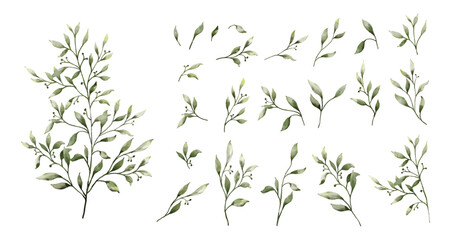 Set of watercolor botanical small leaves elements © Artnizu