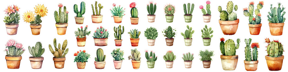 set of cactus flowers in plant pot watercolor illustration transparent background, PNG ,Generative AI  