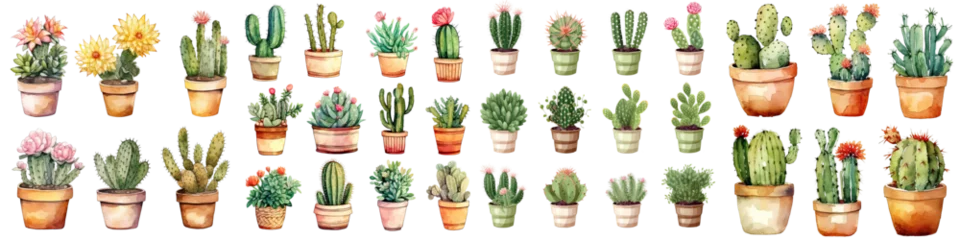 Zelfklevend Fotobehang Cactus in pot set of cactus flowers in plant pot watercolor illustration transparent background, PNG ,Generative AI  