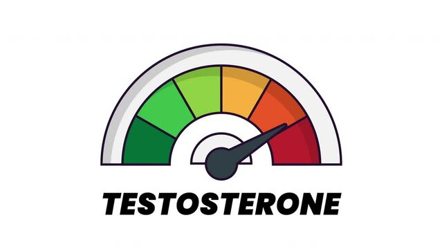 testosterone Level Measuring Device with arrow and scale.4K motion animation.