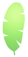 3d illustration of banana leaf isolated.