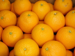 Oranges for sale in farmers market