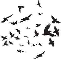 Fototapeta na wymiar Black vector flying birds flock silhouettes isolated on white background