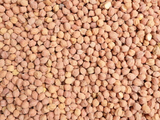 Fototapeta premium Brown chickpea ,overhead shot of Kala Chana
