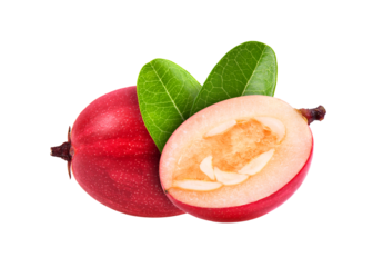 Carunda or Karonda on transparent png