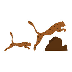 vector illustration of a jumping leopard on a white background