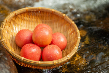 冷えた新鮮なトマト