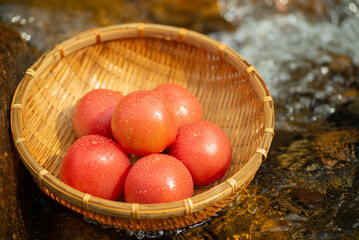 冷えた新鮮なトマト