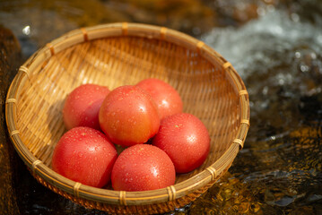 冷えた新鮮なトマト