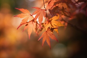 Naklejka na ściany i meble Autumn leaves very shallow focus. Generative ai