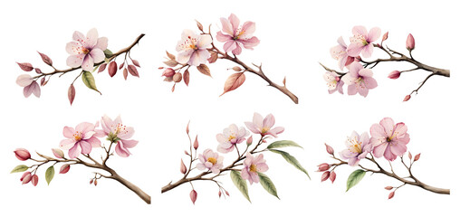 Watercolor almond blossom. Generative Ai