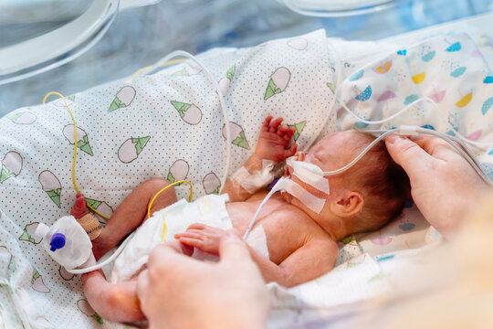 Close up of mother's hands holding new born baby born at 32 weeks gestation in intensive care unit in a medical incubator.