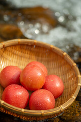 冷えた新鮮なトマト